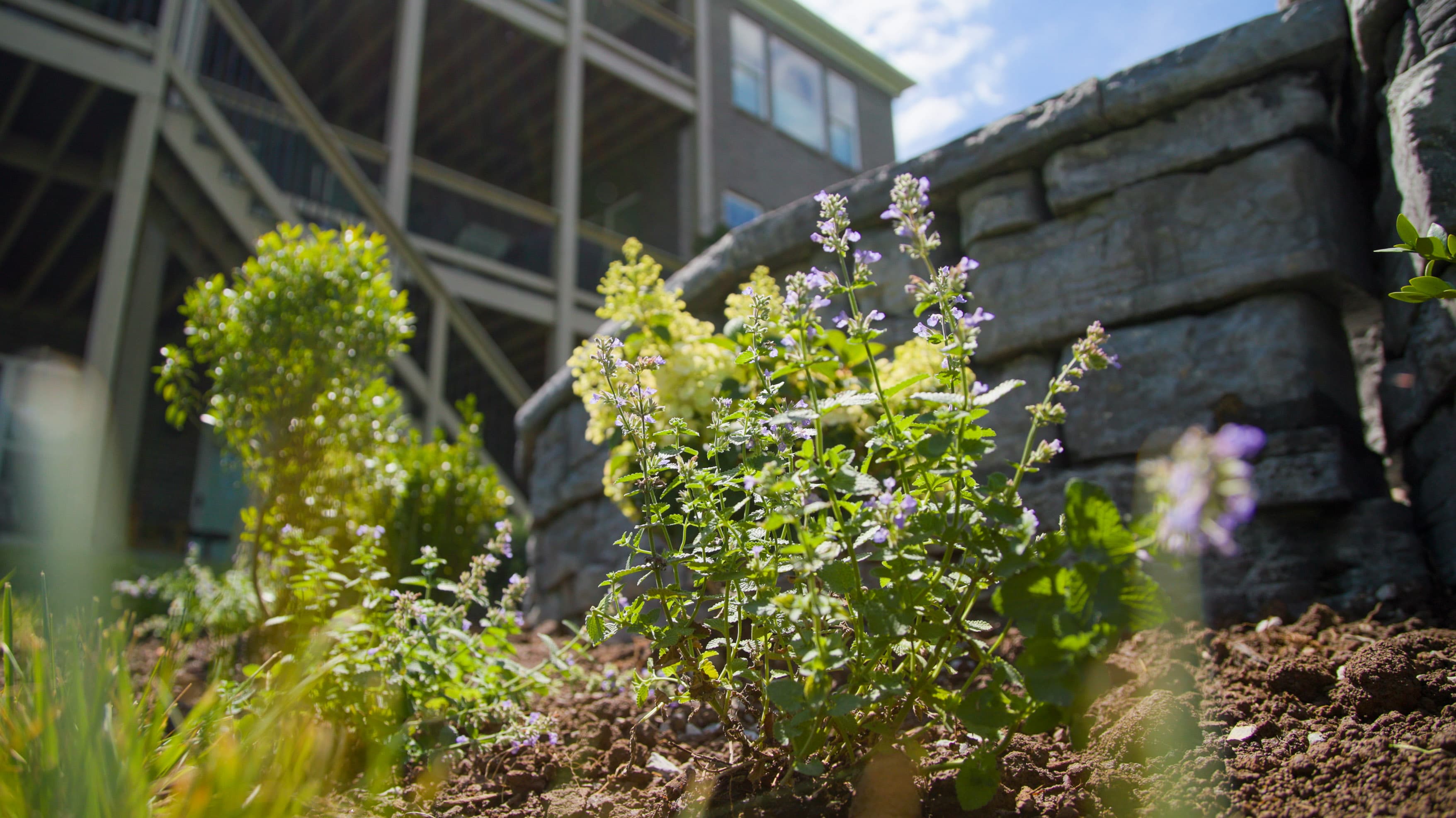 Landscaping services in Minorsville